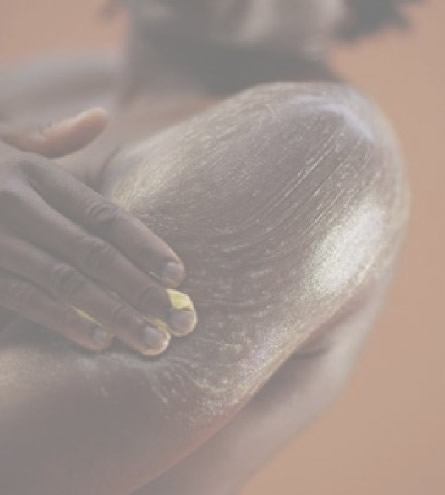 WELLNESS AFRICAN SAFARI