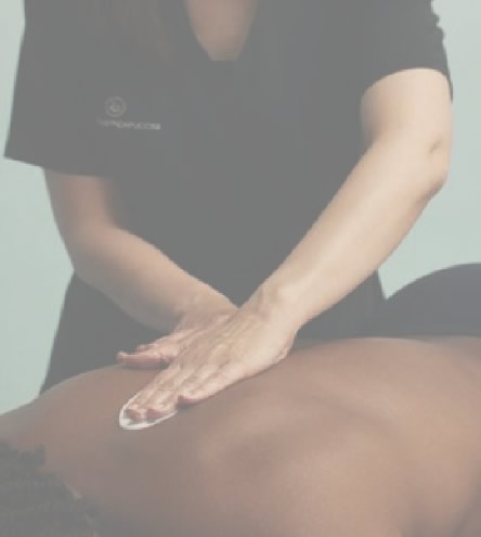 WELLNESS AFRICAN SAFARI